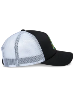 Ayess Trucker