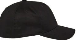 Corp Shift 2 Curved Brim