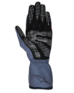 Tech-1 K Race V2 Pure Handschuhe