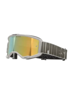 Vision 5 Hollow Schutzbrille