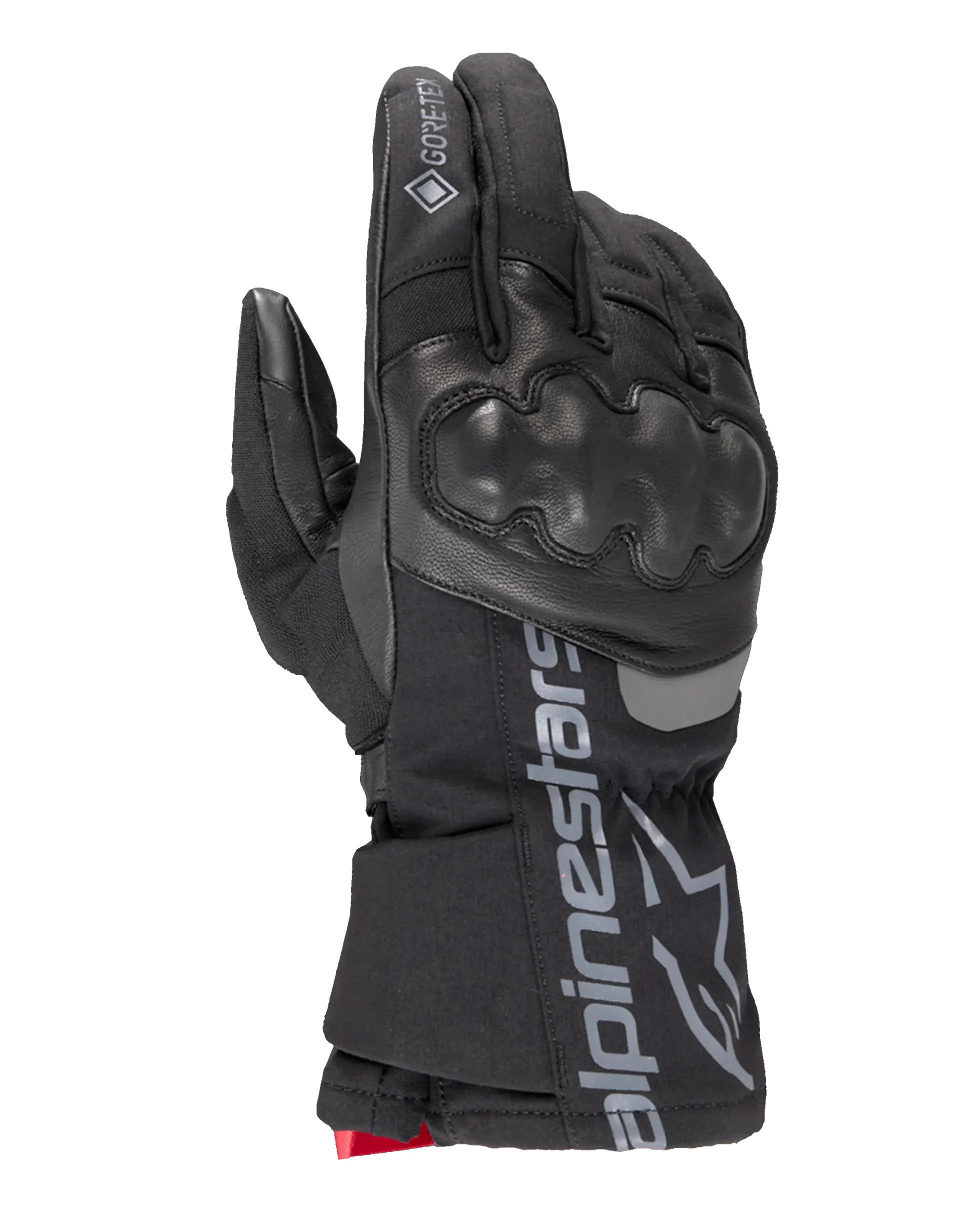 WT-4 GORE-TEX Thermo-Handschuhe